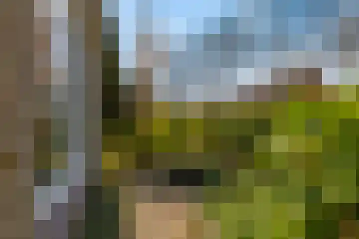 Frankenpoort 30 Houten thumbnail 59