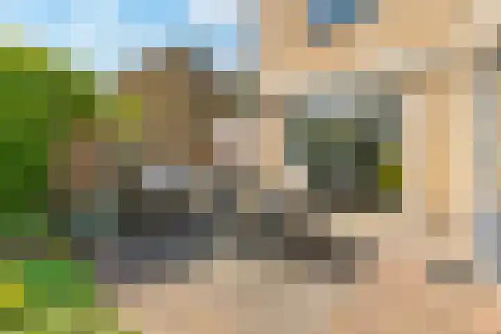 Frankenpoort 30 Houten thumbnail 60
