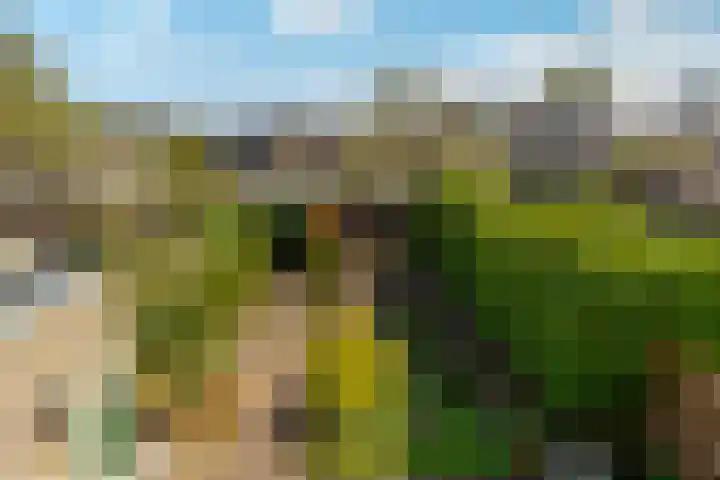 Frankenpoort 30 Houten thumbnail 63