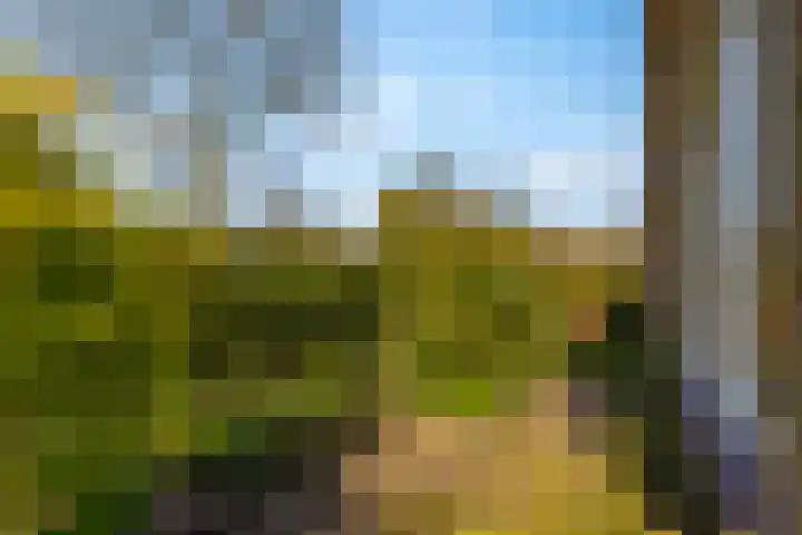 Frankenpoort 30 Houten thumbnail 67