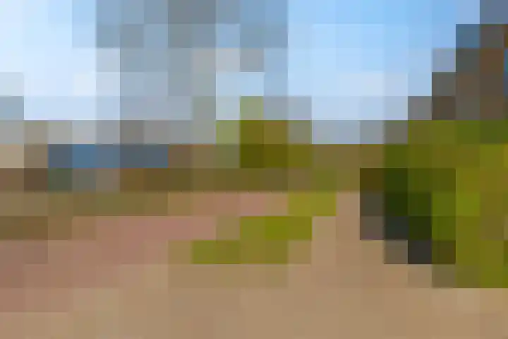 Frankenpoort 30 Houten thumbnail 68