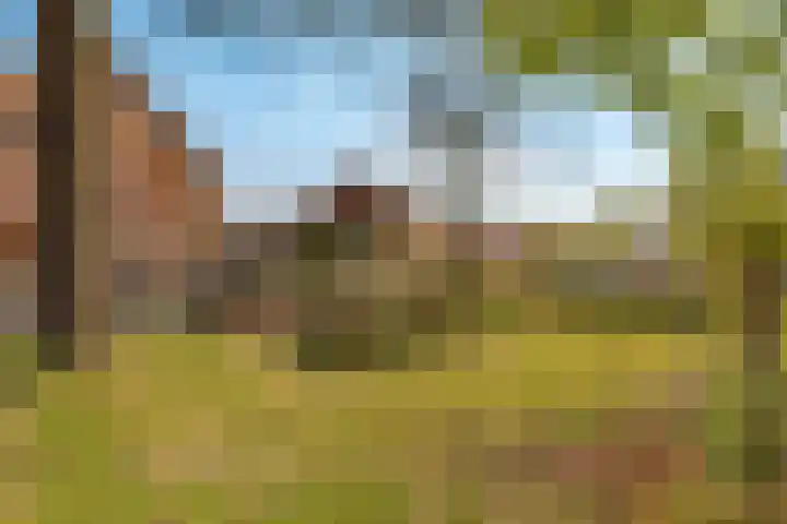 Frankenpoort 30 Houten thumbnail 74