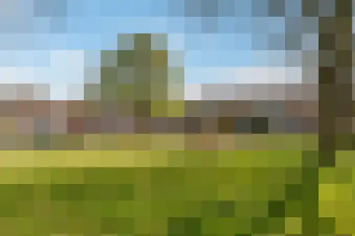 Frankenpoort 30 Houten thumbnail 75