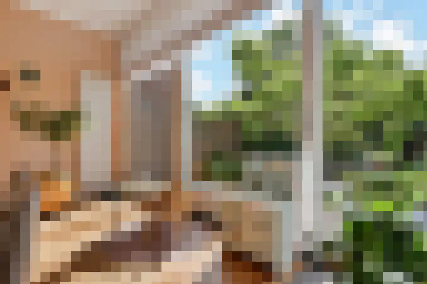 Frankenslag 126 Den Haag thumbnail 11