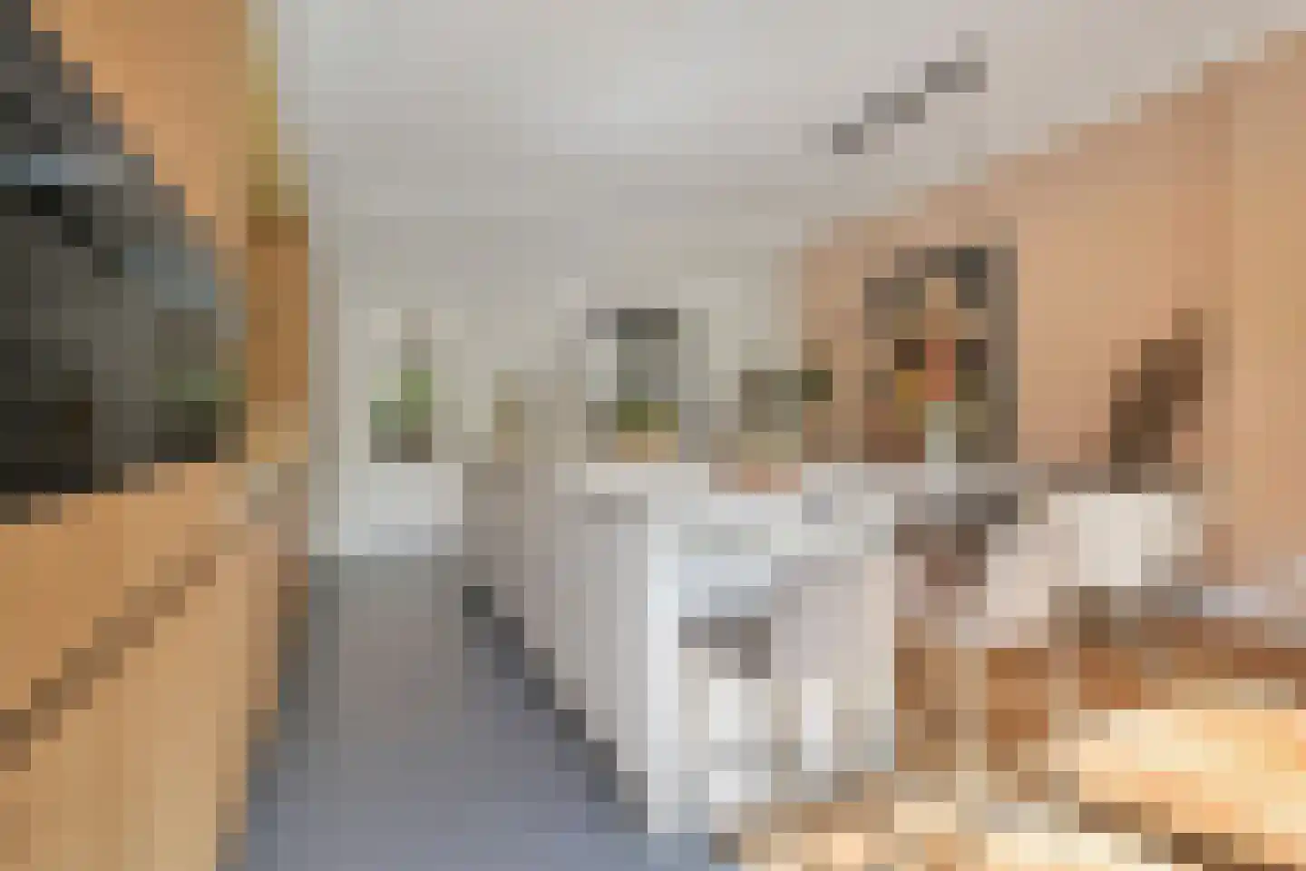 Frankenslag 126 Den Haag thumbnail 14