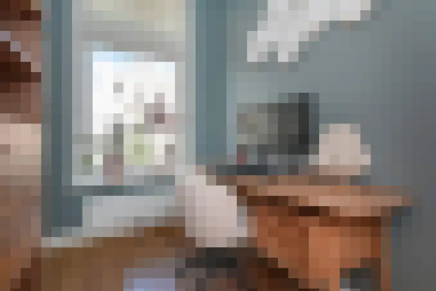 Frankenslag 126 Den Haag thumbnail 35