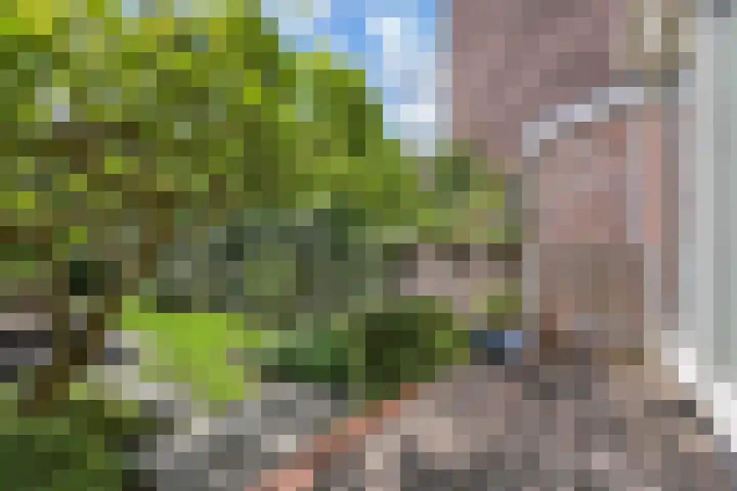 Frankenslag 126 Den Haag thumbnail 55