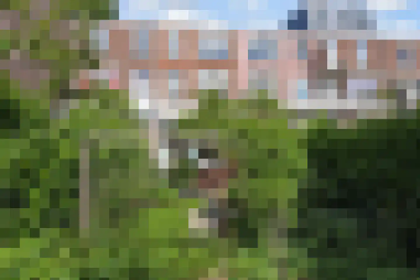 Frankenslag 126 Den Haag thumbnail 57