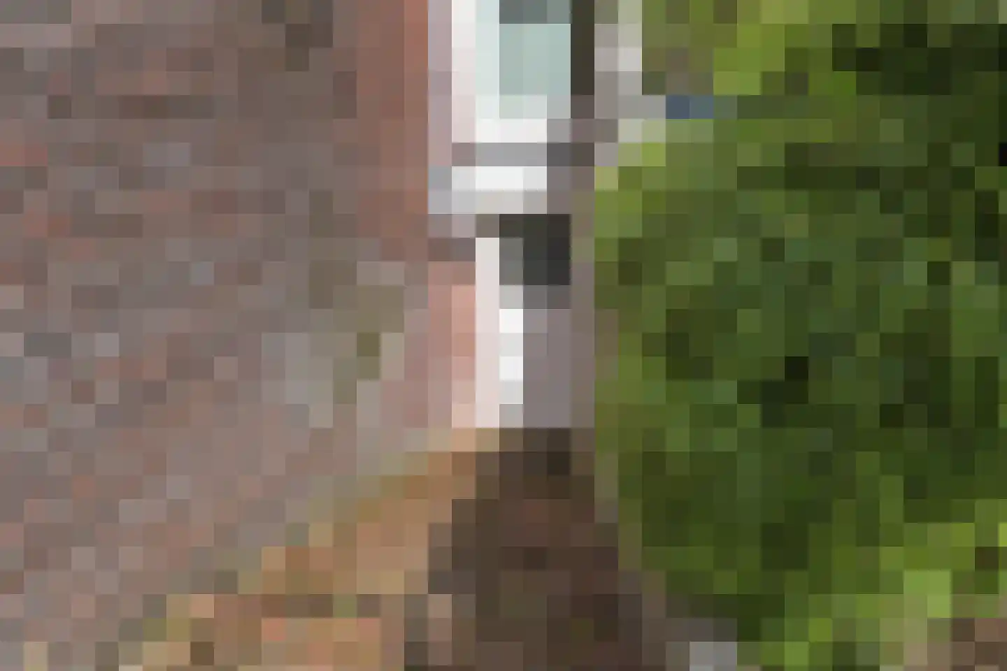 Frankenslag 126 Den Haag thumbnail 59