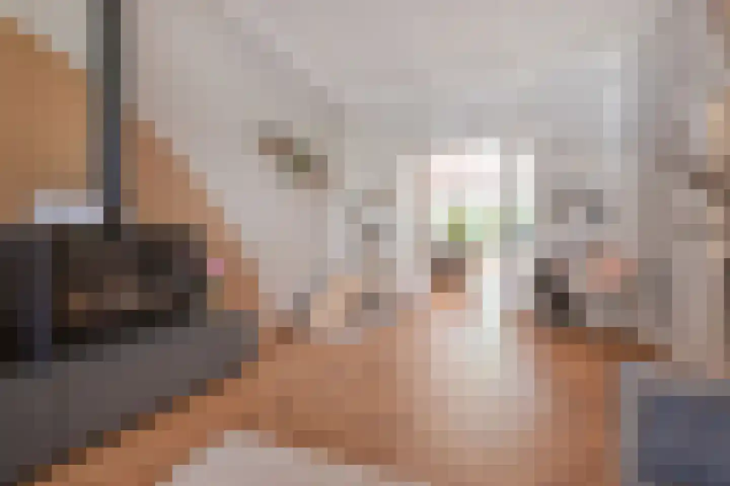 Frankenslag 126 Den Haag thumbnail 8