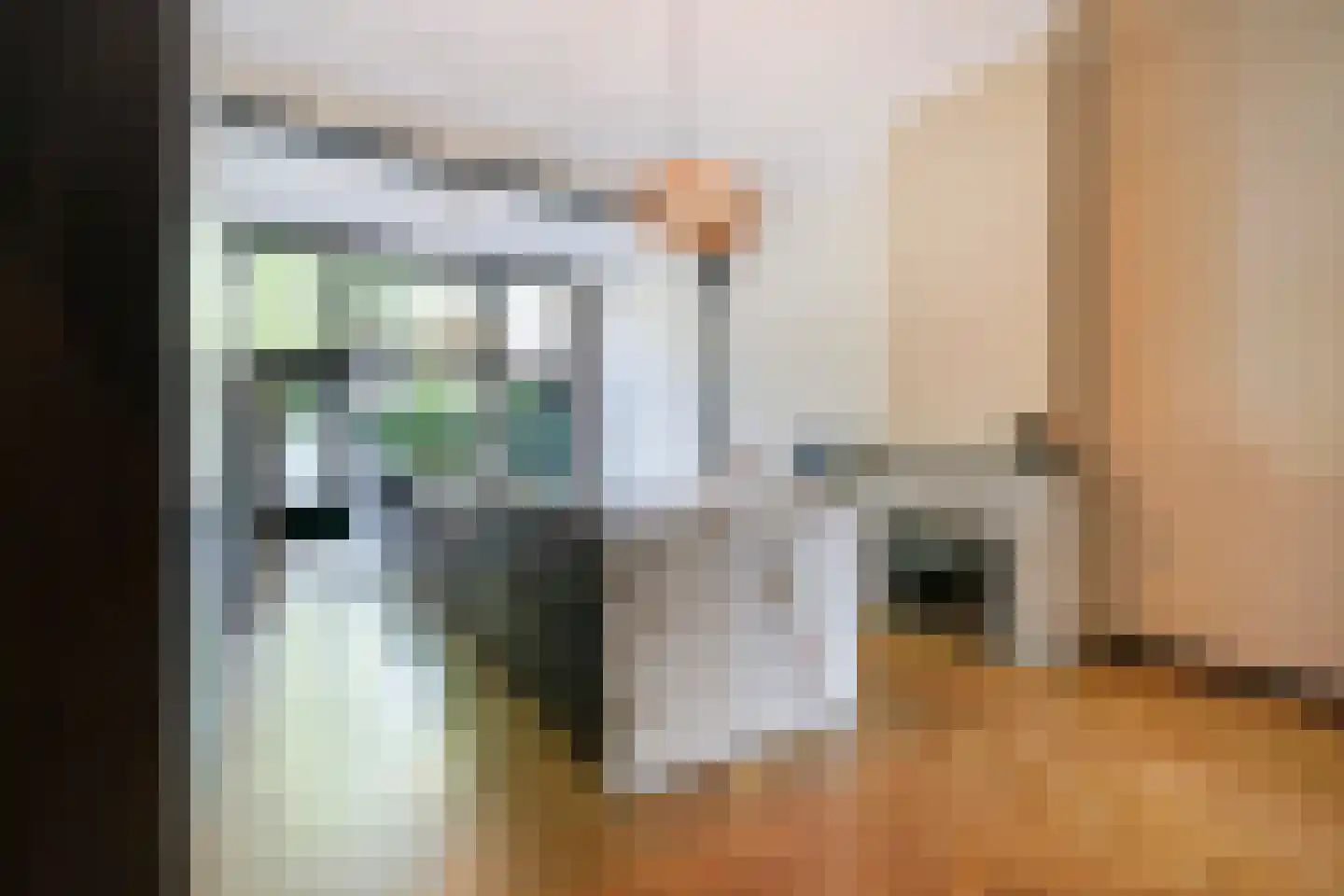 Frankenslag 135 Den Haag thumbnail 19