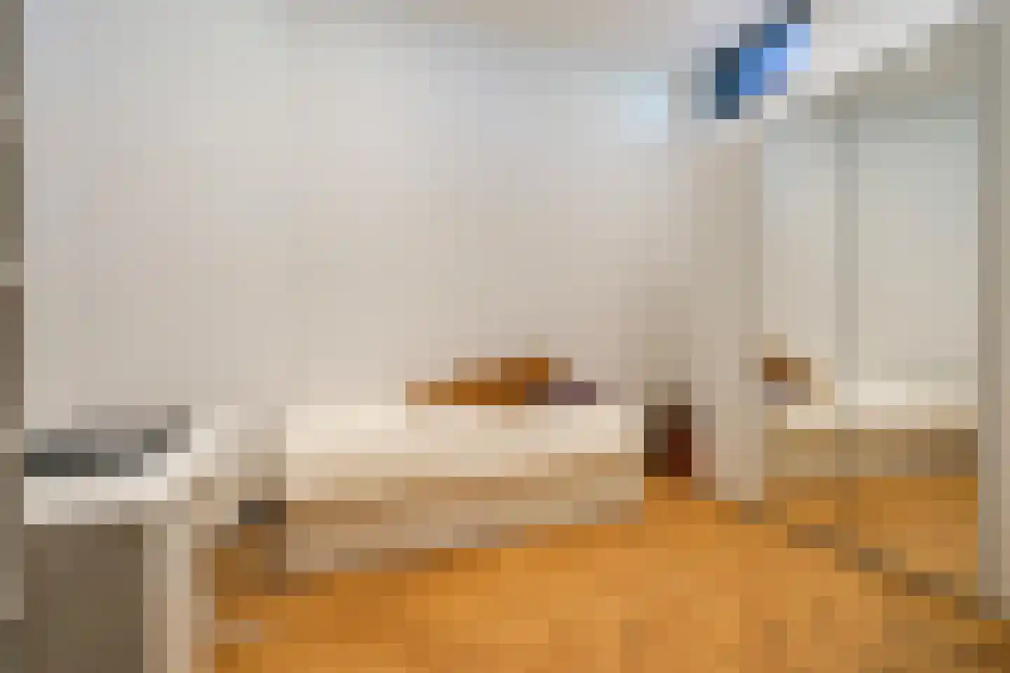 Frankenslag 135 Den Haag thumbnail 32