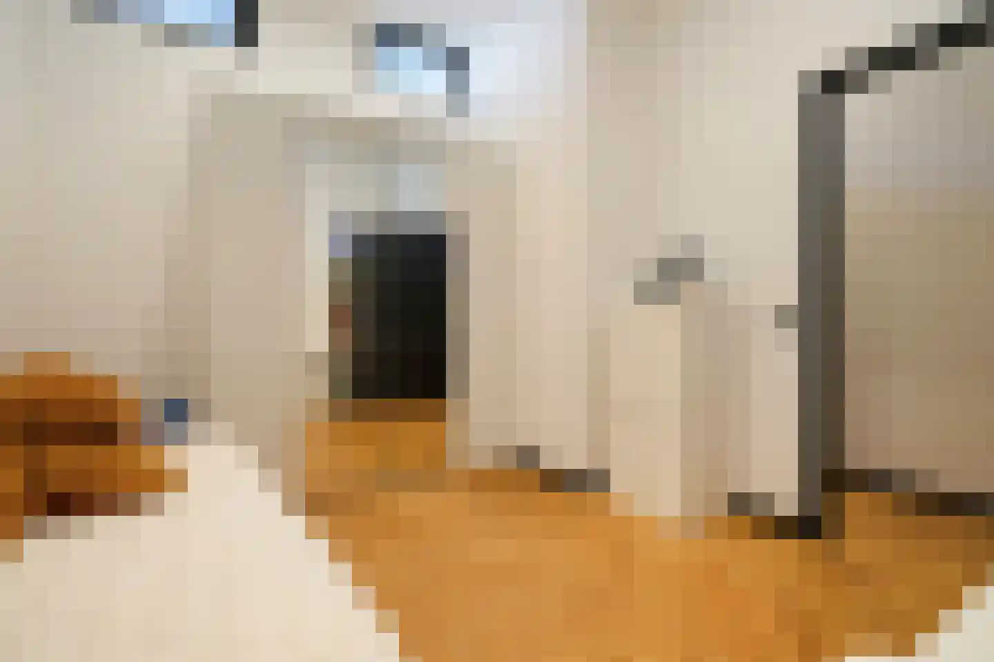 Frankenslag 135 Den Haag thumbnail 33