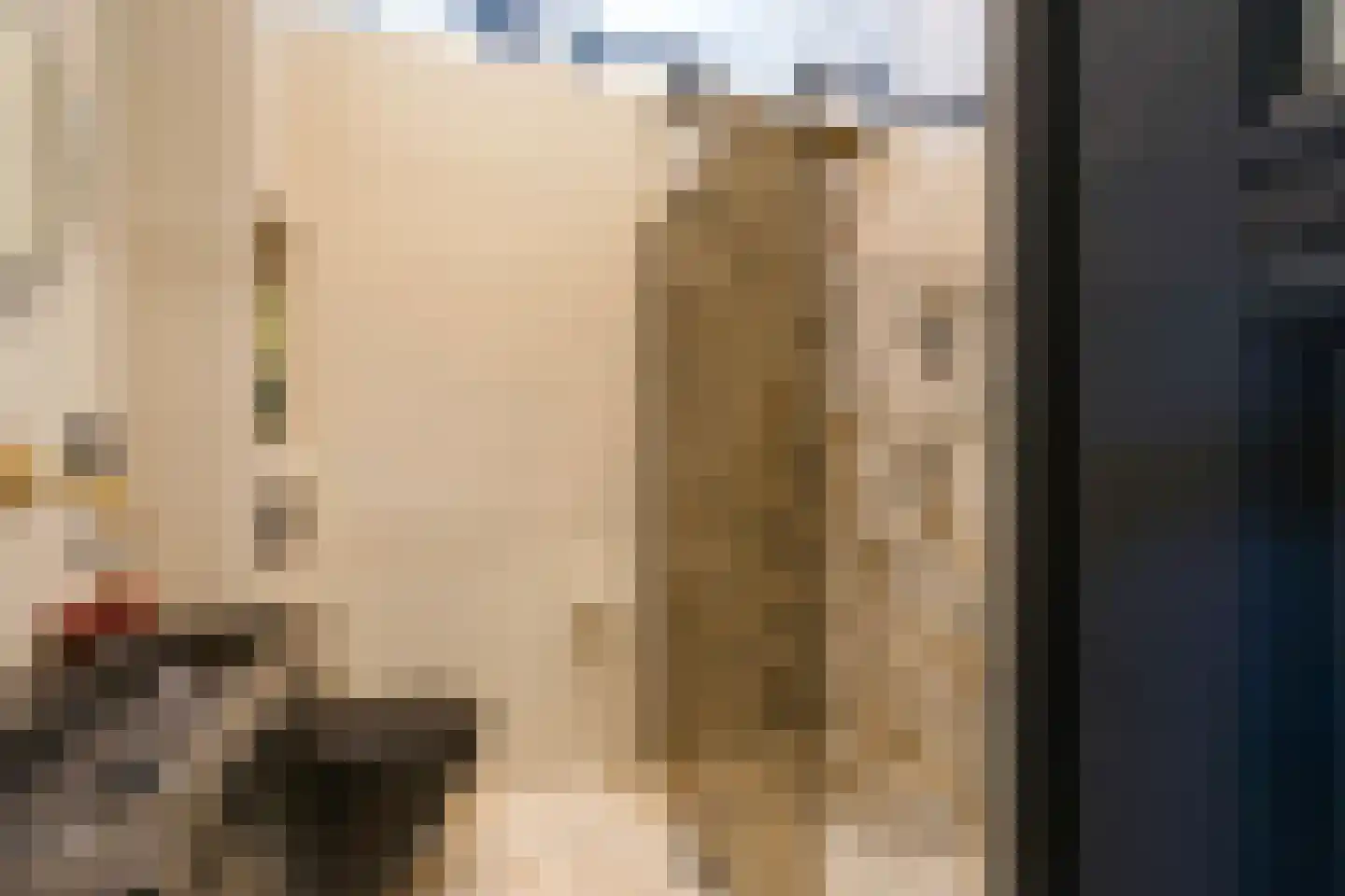 Frankenslag 135 Den Haag thumbnail 34