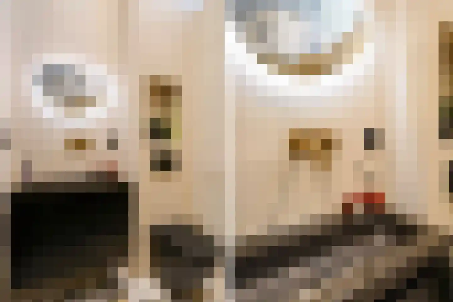 Frankenslag 135 Den Haag thumbnail 36