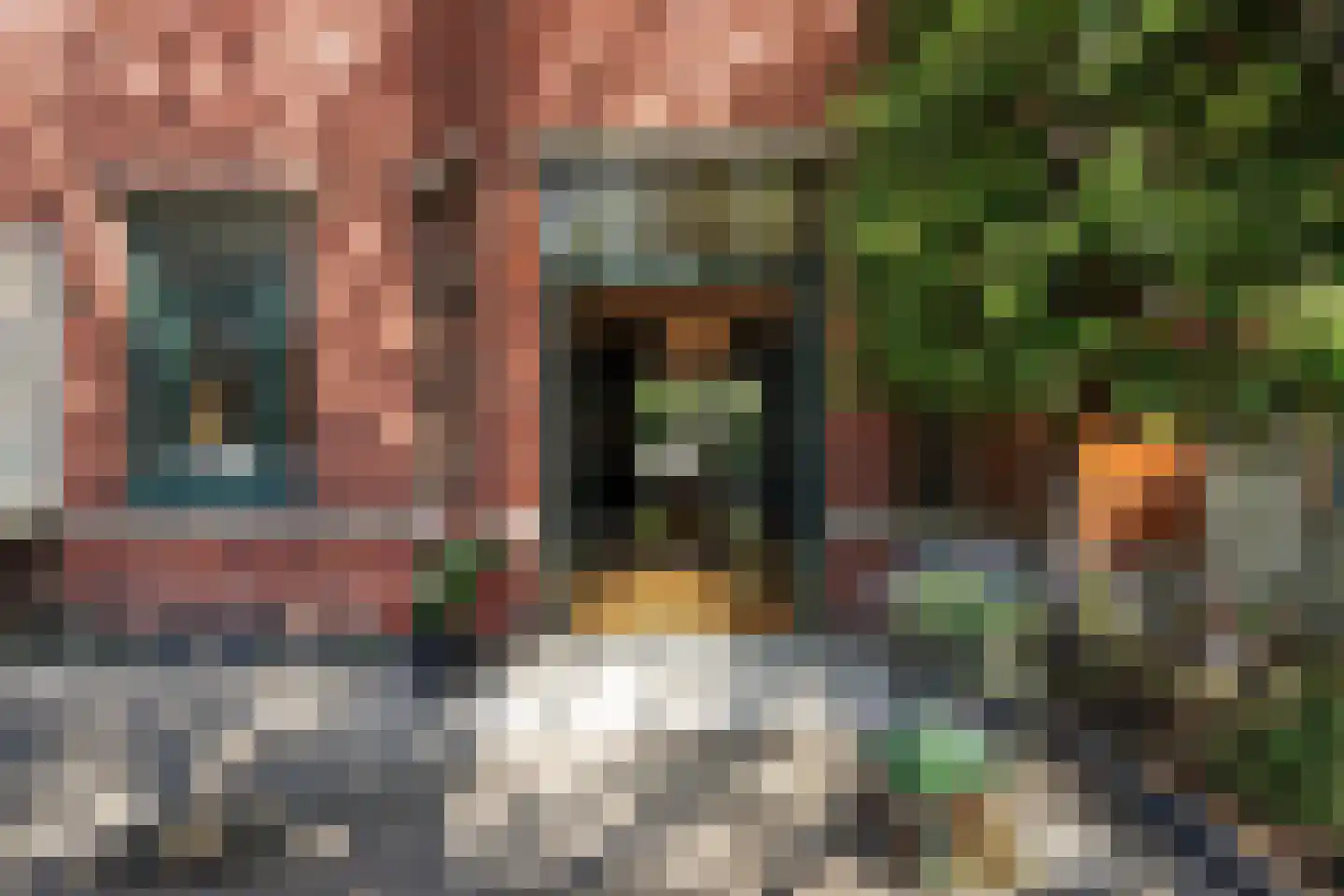 Frankenslag 135 Den Haag thumbnail 37