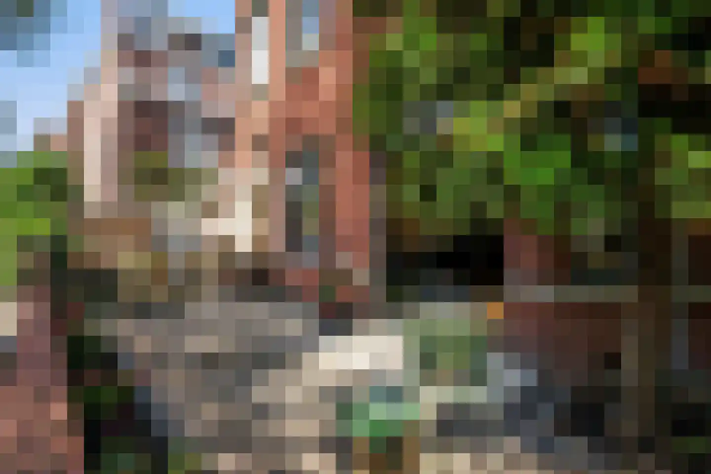 Frankenslag 135 Den Haag thumbnail 38