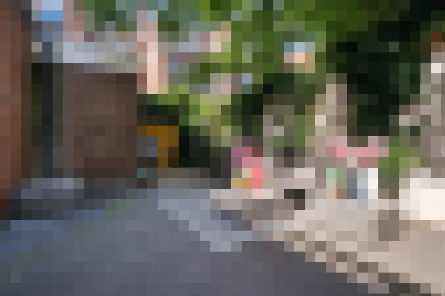 Frankenslag 135 Den Haag thumbnail 42