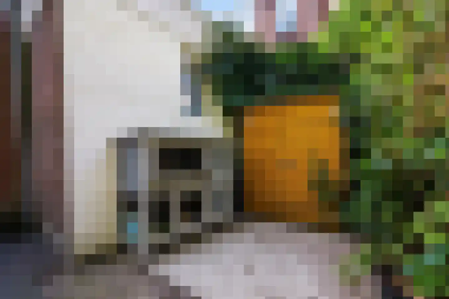 Frankenslag 135 Den Haag thumbnail 45