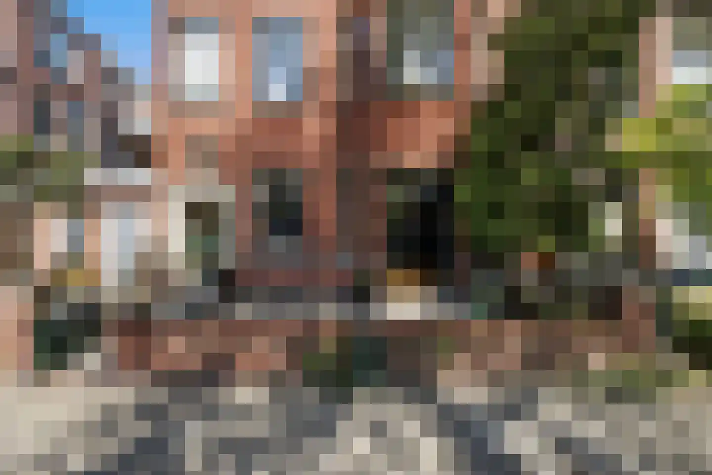 Frankenslag 135 Den Haag thumbnail 46