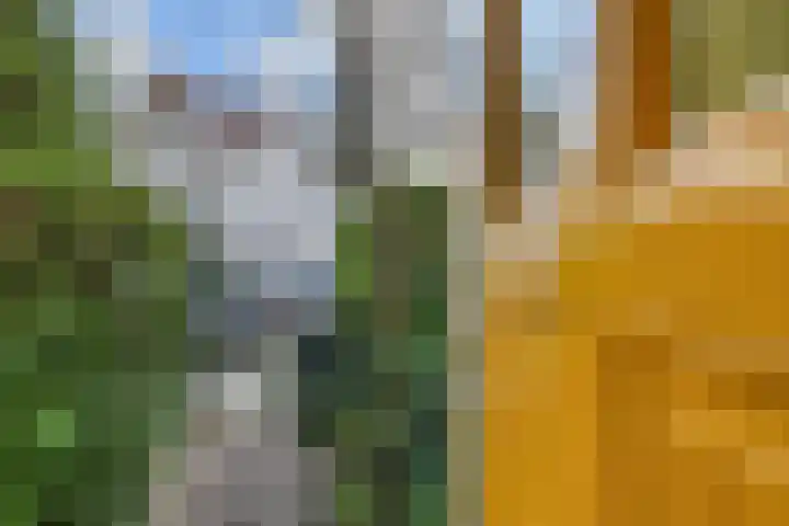 Frankenslag 15 A Den Haag thumbnail 11