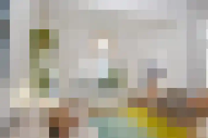 Frankenslag 15 A Den Haag thumbnail 16