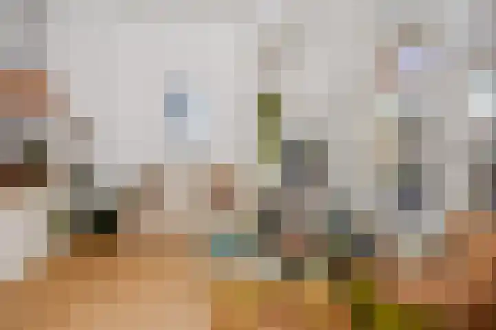 Frankenslag 15 A Den Haag thumbnail 17