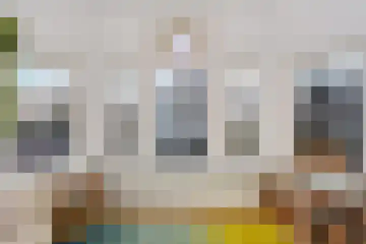 Frankenslag 15 A Den Haag thumbnail 18