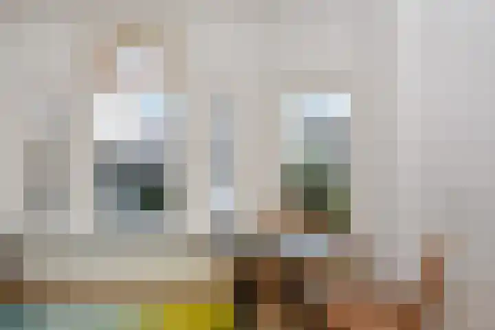 Frankenslag 15 A Den Haag thumbnail 20