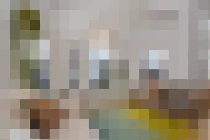 Frankenslag 15 A Den Haag thumbnail 21