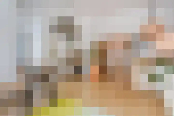 Frankenslag 15 A Den Haag thumbnail 22