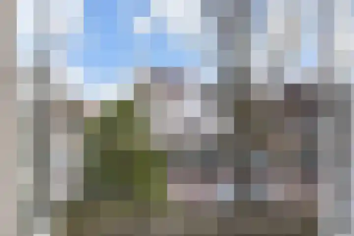 Frankenslag 15 A Den Haag thumbnail 32