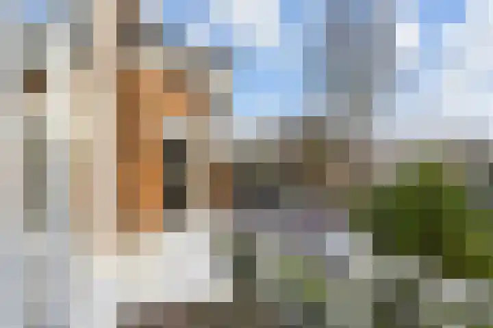 Frankenslag 15 A Den Haag thumbnail 34