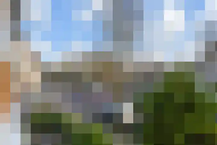 Frankenslag 15 A Den Haag thumbnail 35