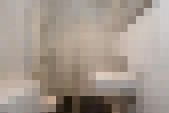 Frankenslag 15 A Den Haag thumbnail 36