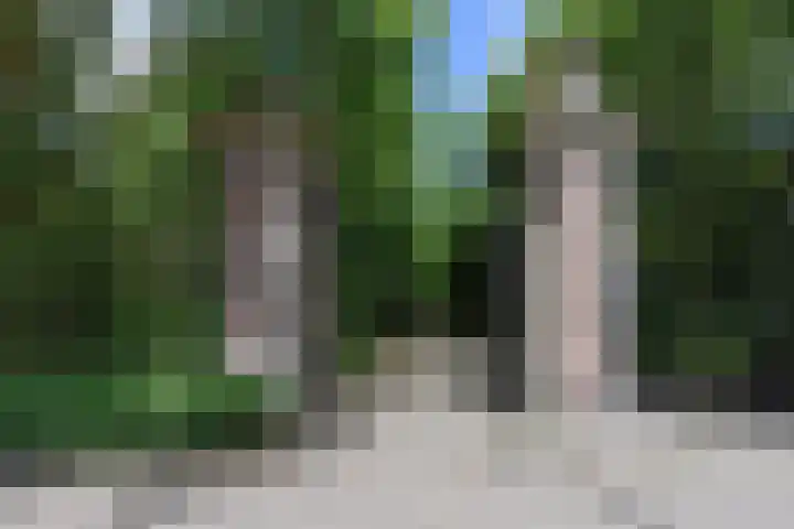 Frankenslag 15 A Den Haag thumbnail 39