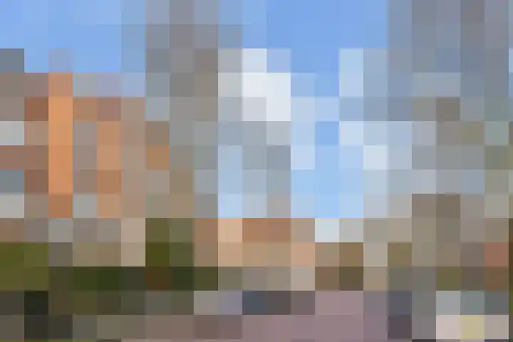 Frankenslag 15 A Den Haag thumbnail 6