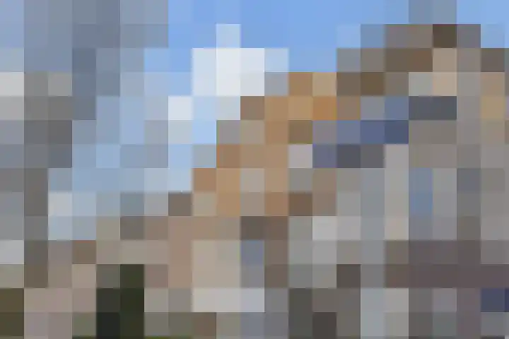 Frankenslag 15 A Den Haag thumbnail 7