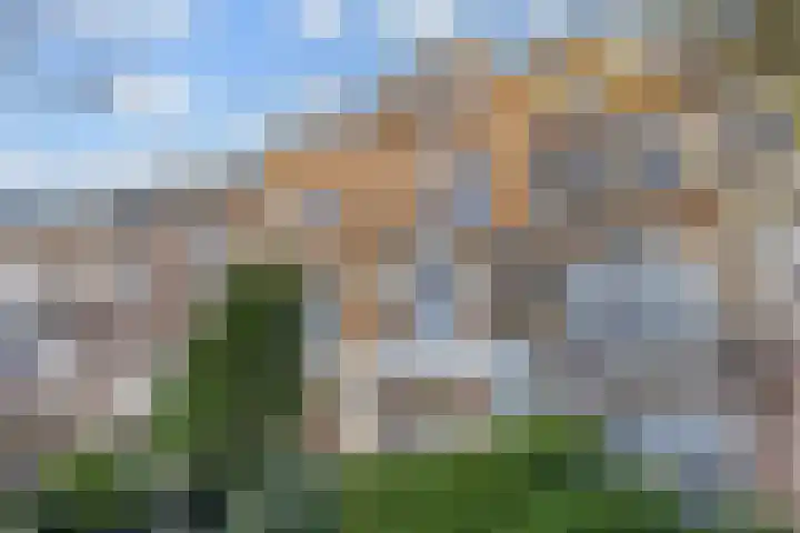 Frankenslag 15 A Den Haag thumbnail 8
