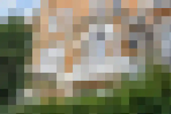 Frankenslag 15 A Den Haag thumbnail 9