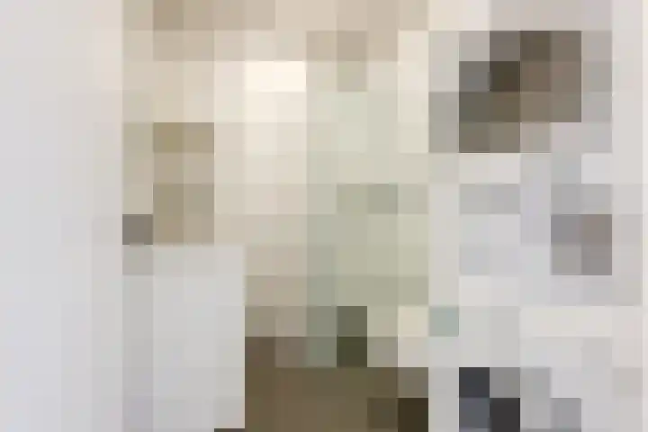 Frankenslag 15 F Den Haag thumbnail 12
