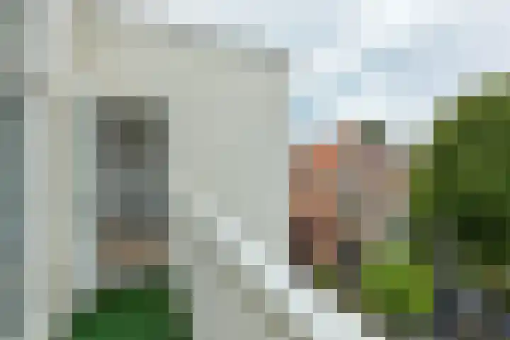 Frankenslag 15 F Den Haag thumbnail 15