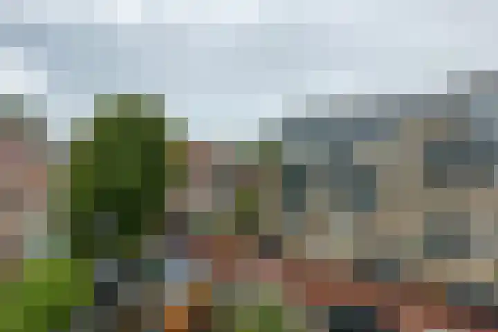 Frankenslag 15 F Den Haag thumbnail 16