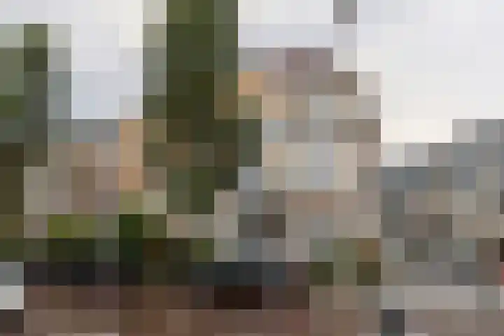 Frankenslag 15 F Den Haag thumbnail 20