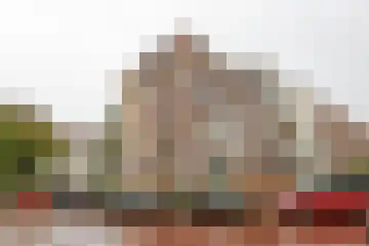 Frankenslag 15 F Den Haag thumbnail 22