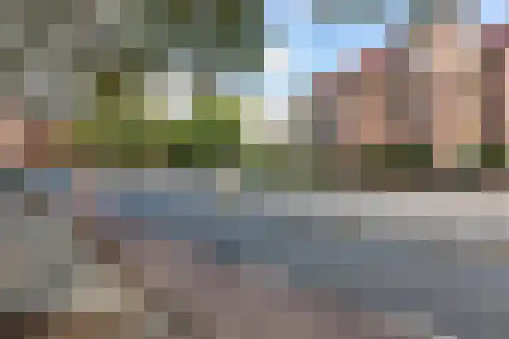 Frankenslag 15 F Den Haag thumbnail 23