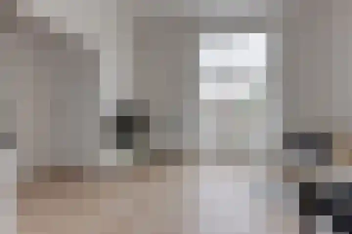 Frankenslag 15 F Den Haag thumbnail 4