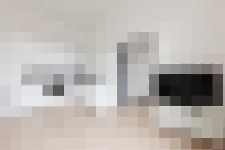 Frankenslag 15 F Den Haag thumbnail 5