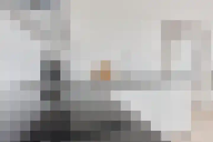 Frankenslag 15 F Den Haag thumbnail 8