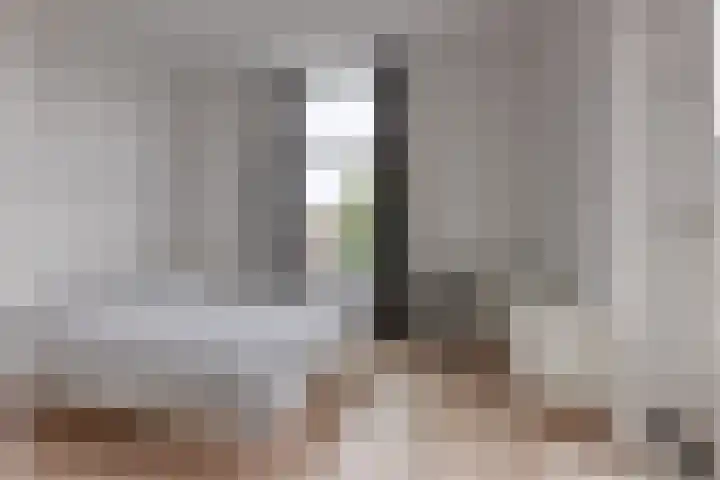 Frankenslag 15 F Den Haag thumbnail 9